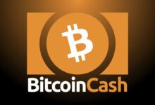 Bitcoin Cash BSC