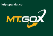 mt. gox